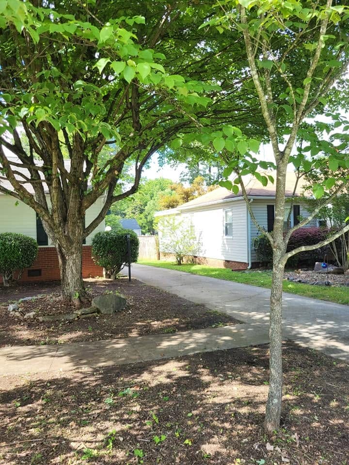 Front beds and walkway under trimmed shade trees