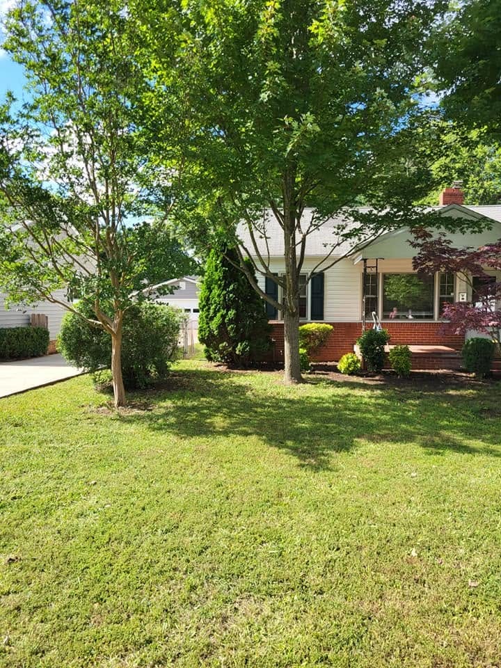 Lawn and shade trees in front of a brick home after trimming