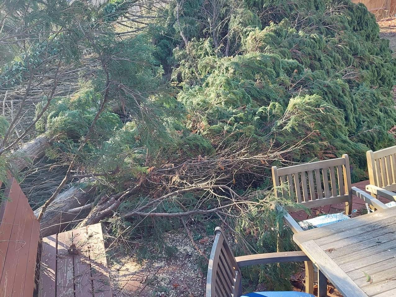 A downed pine top resting against a back deck railing next to patio furniture