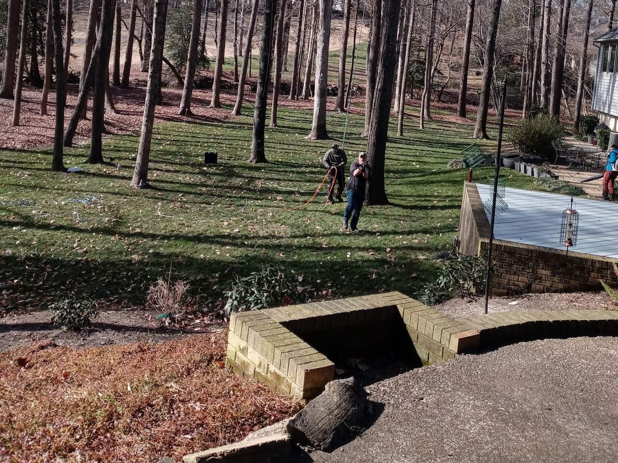 Crew members working in a wooded backyard among tall hardwood trunks